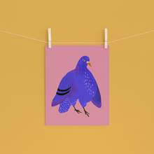 Load image into Gallery viewer, Animals Pigeon