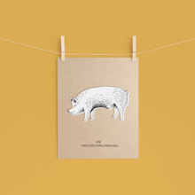 Load image into Gallery viewer, Animals Farm Pig