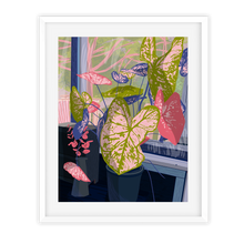 Load image into Gallery viewer, Original Caladium