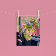 Load image into Gallery viewer, Original Caladium