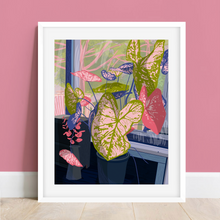 Load image into Gallery viewer, Original Caladium
