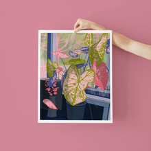 Load image into Gallery viewer, Original Caladium