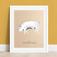 Load image into Gallery viewer, Animals Farm Pig
