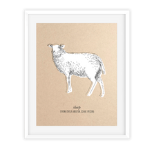 Load image into Gallery viewer, Animals Farm Sheep
