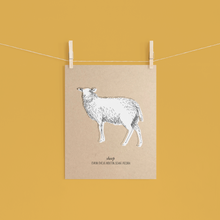 Load image into Gallery viewer, Animals Farm Sheep
