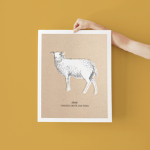 Load image into Gallery viewer, Animals Farm Sheep
